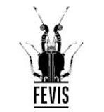 Fevis